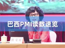 巴西PMI读数速览