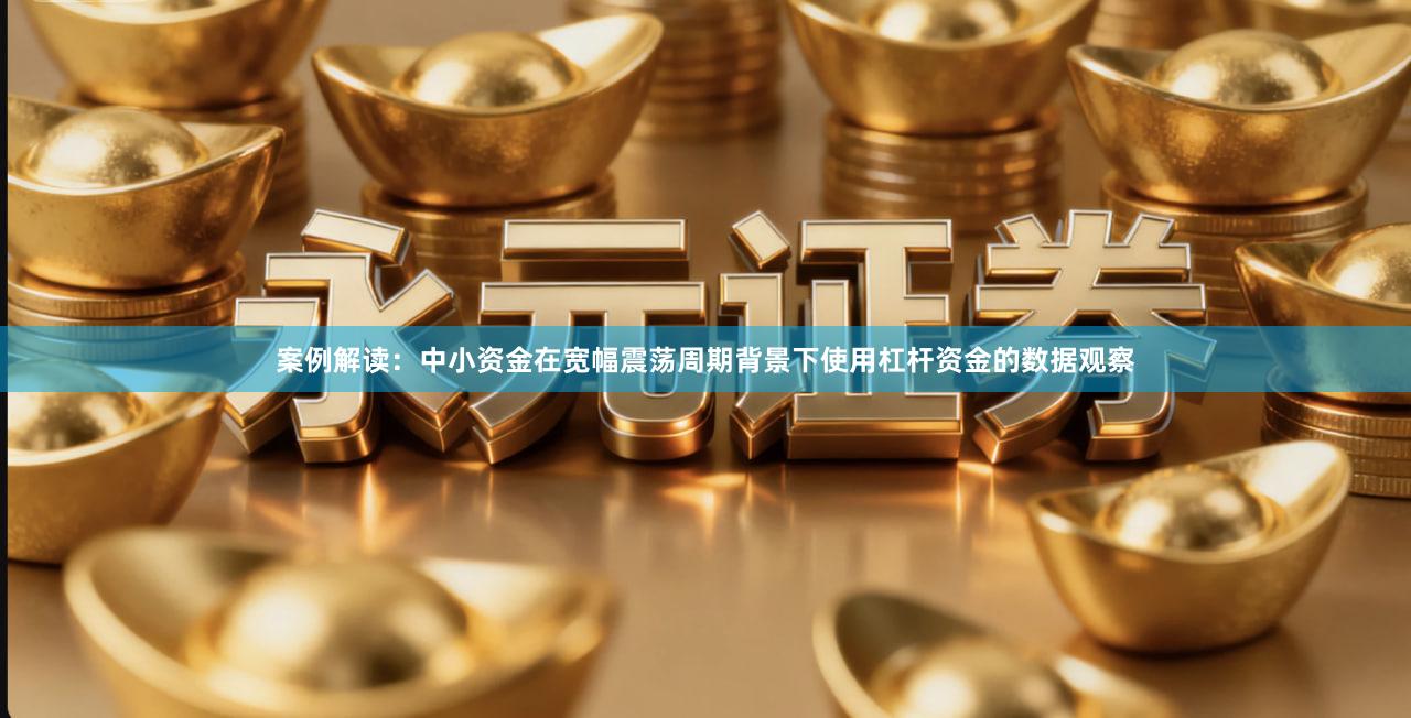 案例解读：中小资金在宽幅震荡周期背景下使用杠杆资金的数据观察